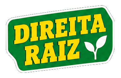 Figurinha Direita raiz